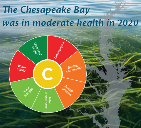 Chesapeake Bay Health Score Held Steady In 2020 | University Of ...